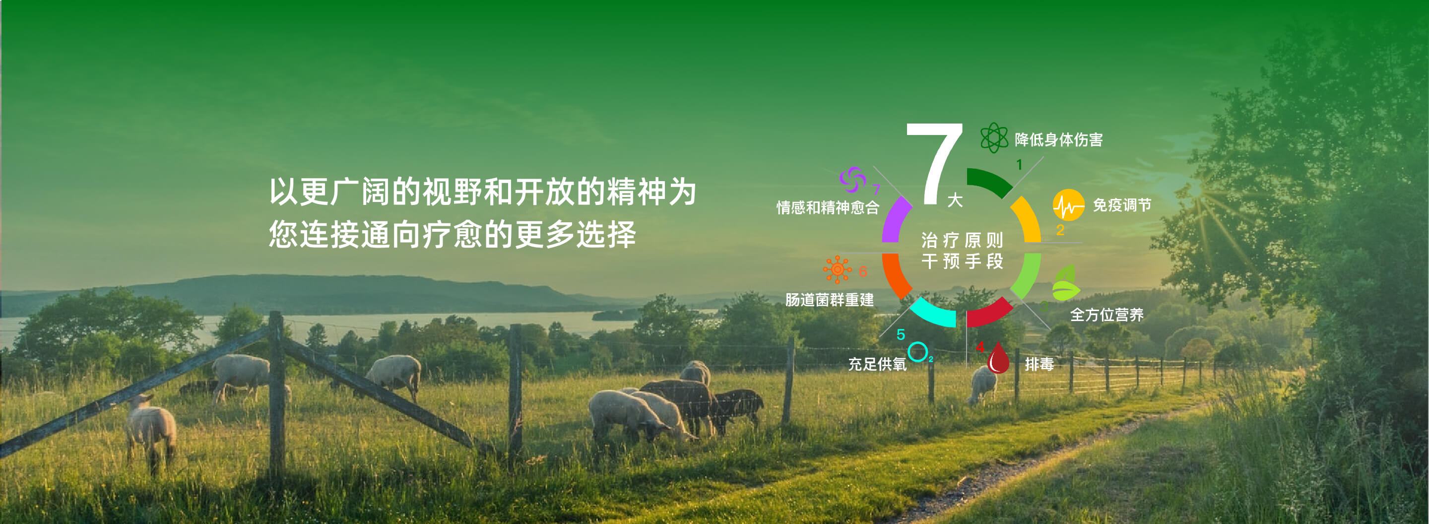 banner图